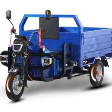 Triciclo elétrico de potência O ajuste perfeito para as suas necessidades de transporte de mercadorias