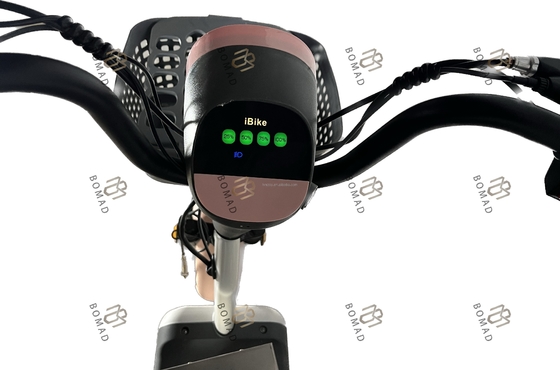 Bicicleta de cidade elétrica Bicicleta de scooter elétrico Bicicleta com material mais baixo e estrutura de aço