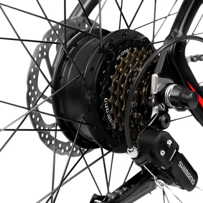 City Leisure Walker Estrutura de aço bicicleta de montanha elétrica autônoma de 1000w com motor traseiro em produção