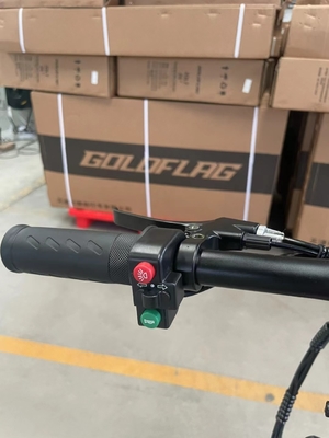 Bicicleta elétrica dobrável de duas rodas com pedal e alcance de luz elétrica por potência 60 km Tempo de carga 3 horas