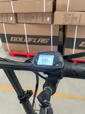 Bicicleta elétrica dobrável de duas rodas com pedal e alcance de luz elétrica por potência 60 km Tempo de carga 3 horas