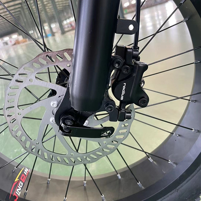750w Motor Rear Hub Powertrain Elétrico para Bateria de Lítio Veículo de Terreno de Montanha