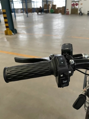 Estrutura de aço 18 velocidades Elétrica Automática Conduzção 48V Adultos Recreio Bicicleta de duas rodas Motor elétrico