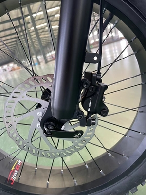 Motor elétrico de montanha de 20 polegadas com 18 velocidades e torque de 50-60 Nm