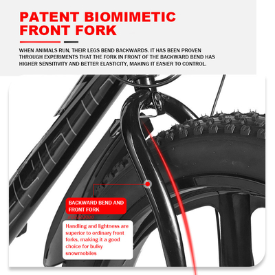 2024 Mountain Bike Big Tire Bicicleta elétrica com capacidade de bateria de 11 ah e freio de disco da roda traseira
