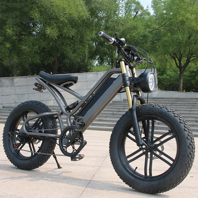 Potentes 250w Bicicletas Elétricas Adultos Mountain Bike Elétrico com Freio de Disco da Roda traseira