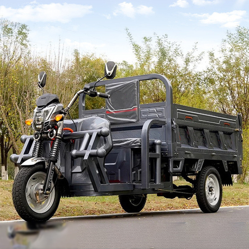 Controlador de todo o tipo de tubo 800w/1000w/1200w/1500w Triciclo elétrico de topo aberto para adultos Confortável Viajar assistido pelo pedal