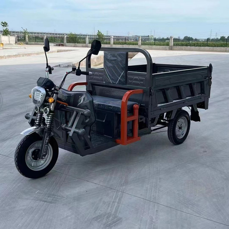 801-1000W Triciclo Elétrico Scooter Elétrico de 3 Rodas para Adultos Controlado por Controlador de Tipo de Tubos